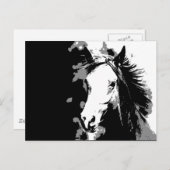 Carte Postale Cheval (Devant / Derrière)