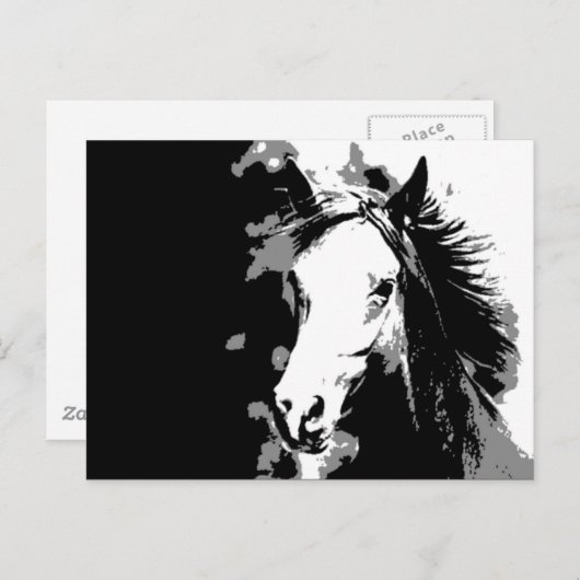 Carte Postale Cheval (Devant / Derrière)