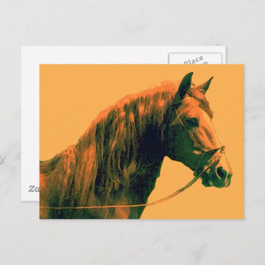 Carte Postale Cheval (Devant / Derrière)