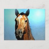 Carte Postale Cheval (Devant)