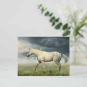 Carte postale Cheval (Debout devant)