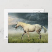 Carte postale Cheval (Devant / Derrière)