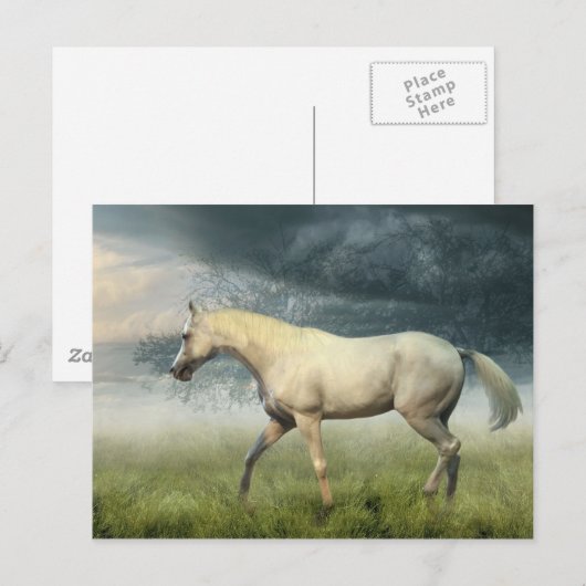 Carte postale Cheval (Devant / Derrière)