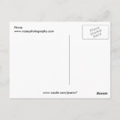 Carte Postale Cheval (Dos)