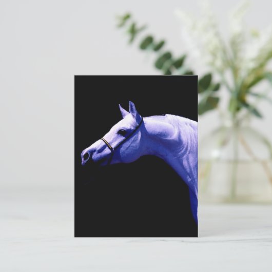 Carte Postale Cheval (Debout devant)