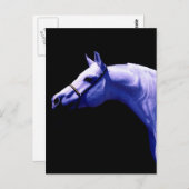 Carte Postale Cheval (Devant / Derrière)