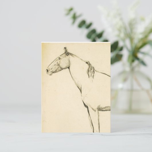 Carte Postale Cheval (Debout devant)