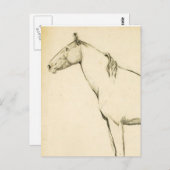Carte Postale Cheval (Devant / Derrière)