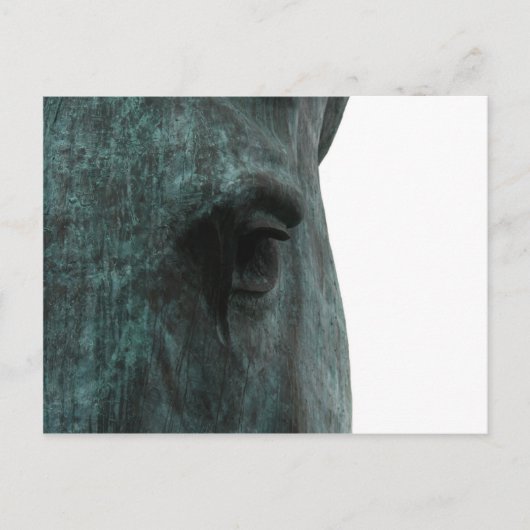 Carte Postale Cheval (Devant)
