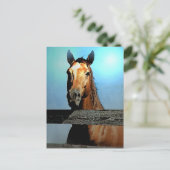 Carte Postale Cheval (Debout devant)