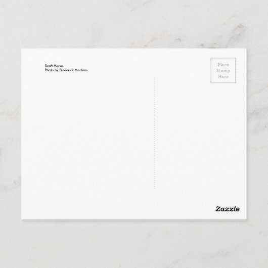 Carte Postale Cheval (Dos)