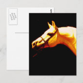 Carte Postale Cheval (Devant / Derrière)