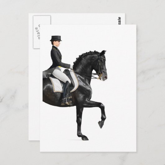 Carte Postale Cheval (Devant / Derrière)