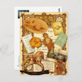 Carte Postale Cheval (Devant / Derrière)