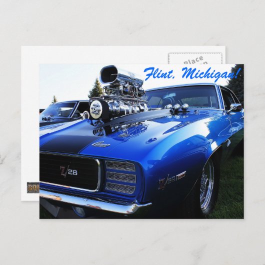 Carte Postale Cheval (Devant / Derrière)