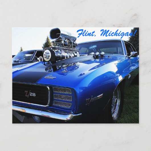 Carte Postale Cheval (Devant)