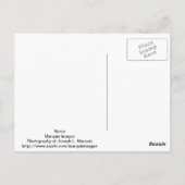 Carte Postale Cheval (Dos)