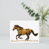 Carte postale Cheval (Debout devant)