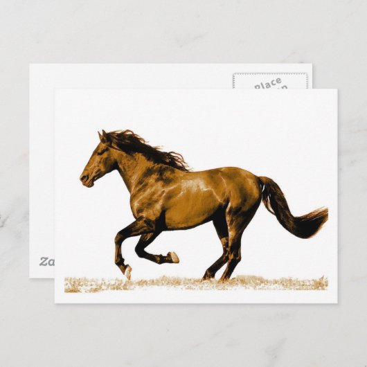 Carte postale Cheval (Devant / Derrière)