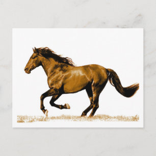 Carte postale Cheval