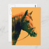 Carte Postale Cheval (Devant / Derrière)