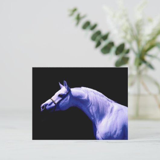 Carte Postale Cheval (Debout devant)