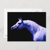 Carte Postale Cheval (Devant / Derrière)