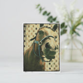 Carte Postale Cheval (Debout devant)