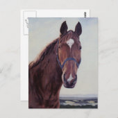 Carte Postale Cheval  (Devant / Derrière)