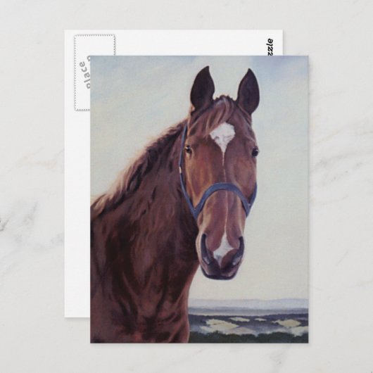 Carte Postale Cheval  (Devant / Derrière)