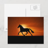 Carte Postale cheval (Devant / Derrière)
