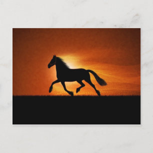Carte Postale cheval