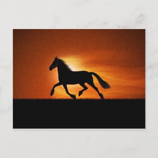 Carte Postale cheval (Devant)