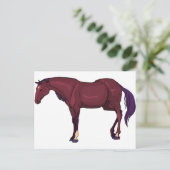 Carte Postale cheval (Debout devant)