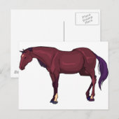 Carte Postale cheval (Devant / Derrière)