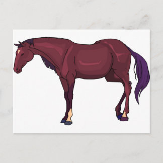 Carte Postale cheval