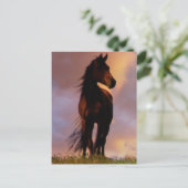 Carte postale Cheval (Debout devant)