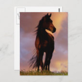 Carte postale Cheval (Devant / Derrière)