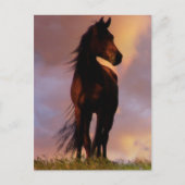 Carte postale Cheval (Devant)