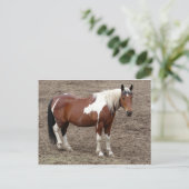 Carte Postale cheval (Debout devant)