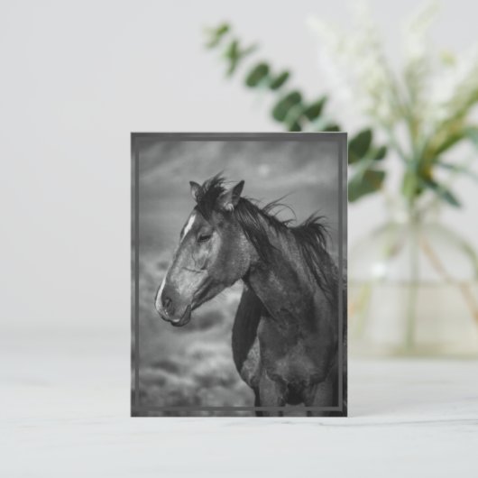 Carte Postale cheval (Debout devant)