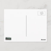 Carte postale Cheval (Dos)