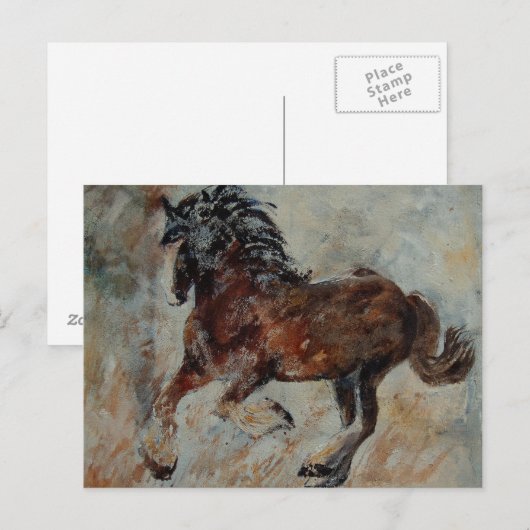 Carte Postale cheval561 (Devant / Derrière)