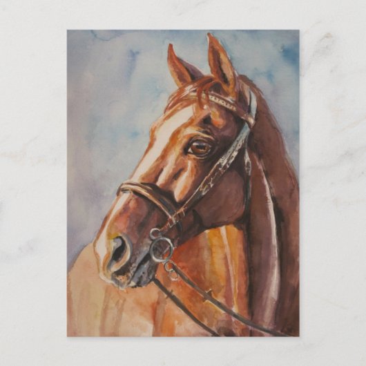 Carte Postale Cheval 2 (Devant)