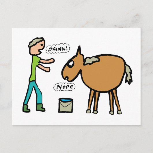 Carte Postale Cheval À L'Eau (Devant)