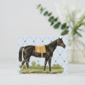 Carte postale Cheval à selle vintage (Debout devant)