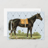 Carte postale Cheval à selle vintage (Devant / Derrière)