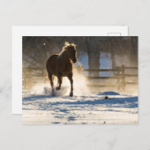 Carte Postale Cheval à travers la neige (Devant / Derrière)