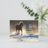 Carte Postale Cheval à travers la neige (Debout devant)