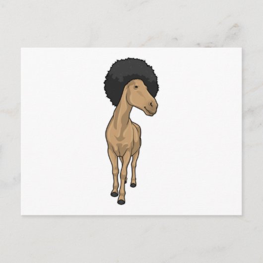 Carte Postale Cheval Afro (Devant)